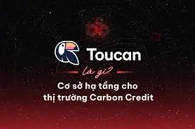 Toucan